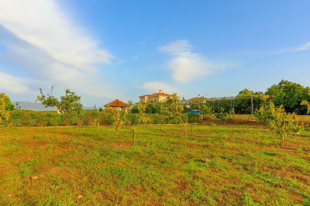 Villa Athina Finiki 폴리스 외부 사진